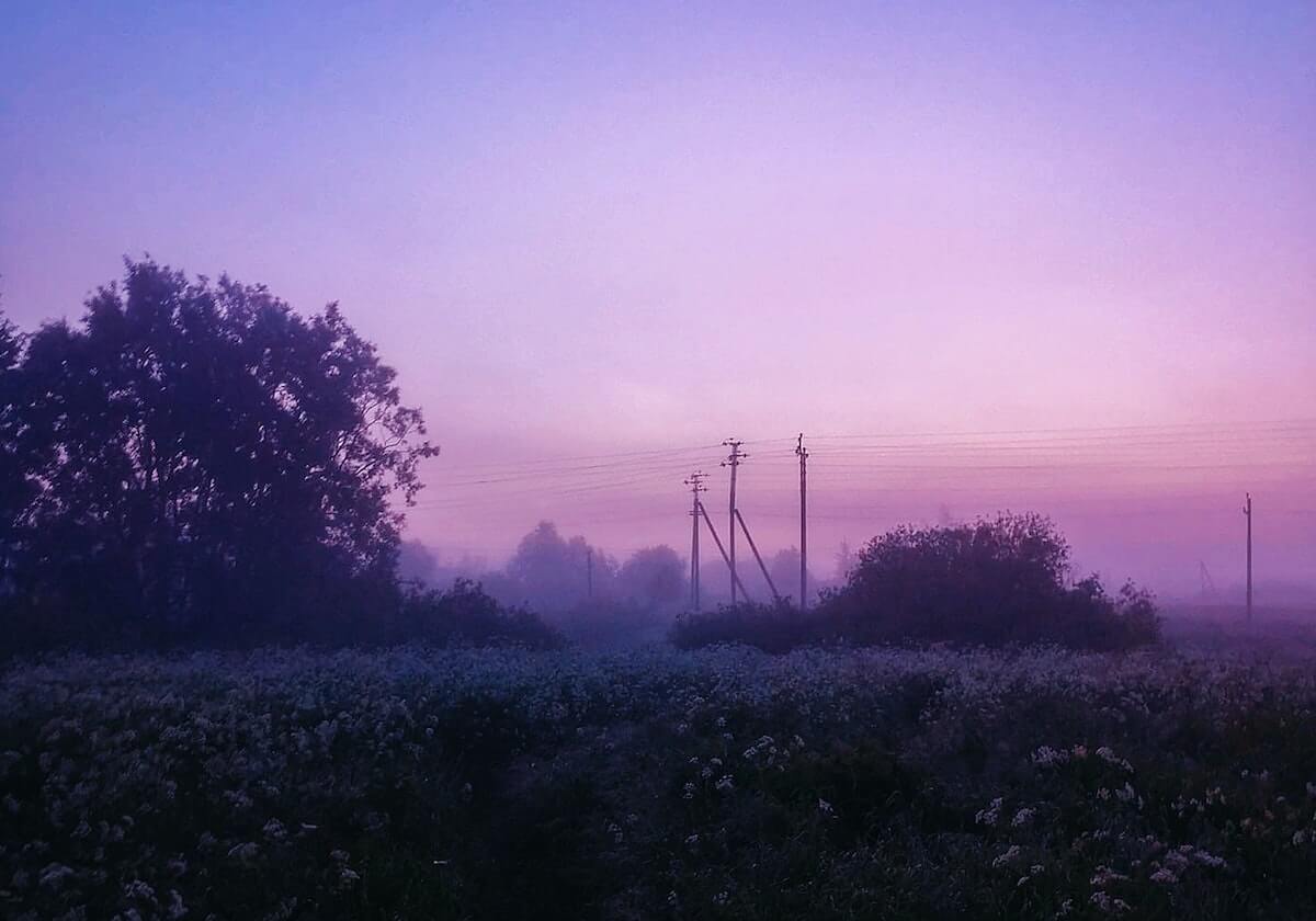收获红土赛季首胜 郑钦文发文：一步一个脚印，下一轮见